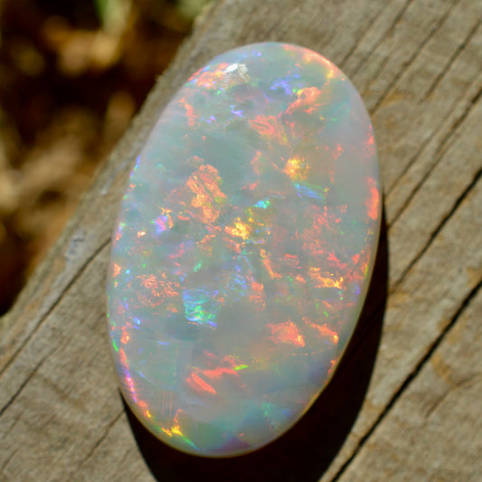20.1ct Solid Rainbow Oval