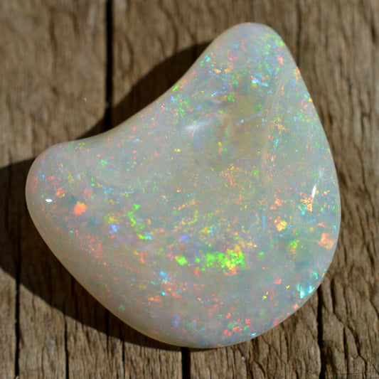15.5ct Opal Shell
