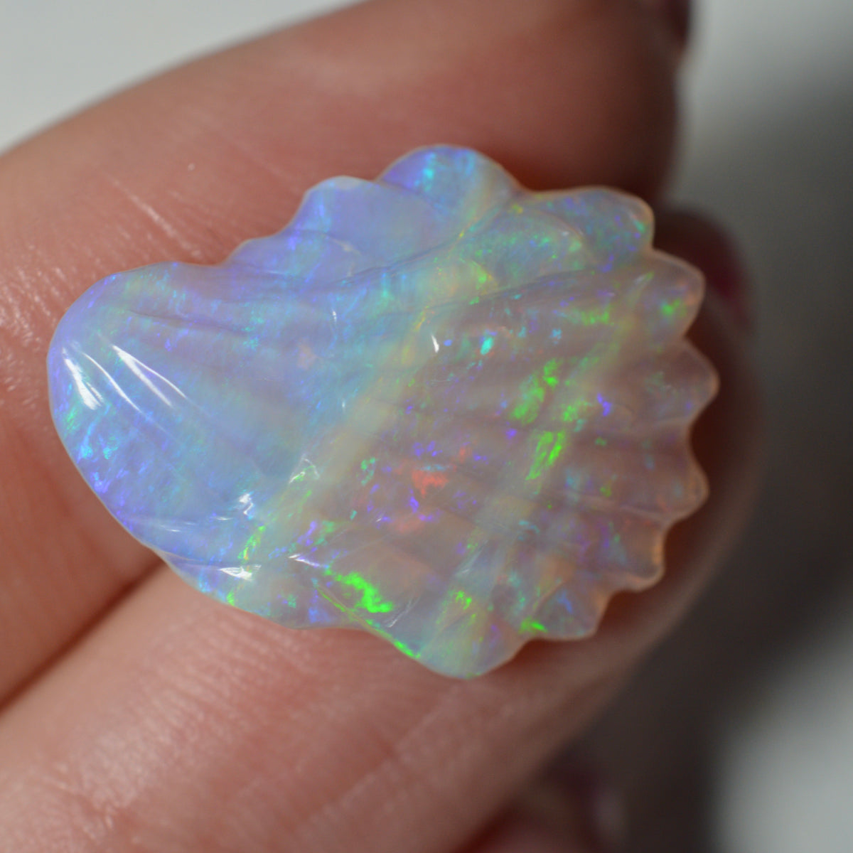 7.87ct Crystal opal Shell
