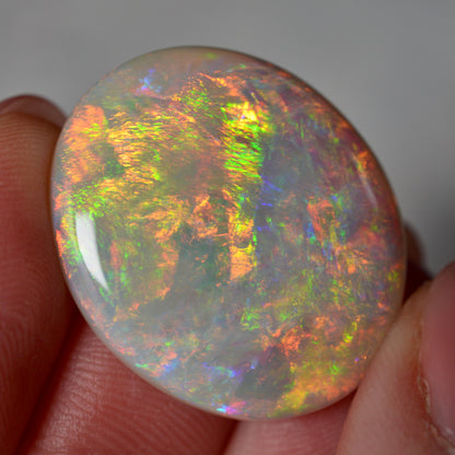 22.67ct Exception Opal Valley Gem