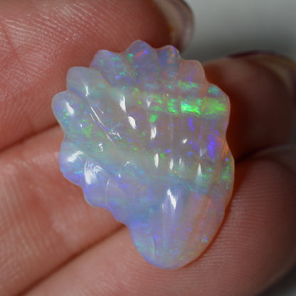 7.87ct Crystal opal Shell