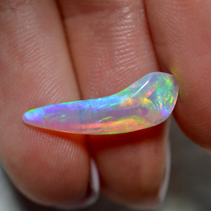 2.36ct Neon Shell Skin Carving