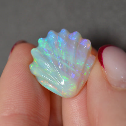 9.30ct Carved Opal Shell