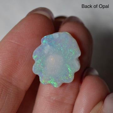 10.16ct Rare Matching Shell Carving