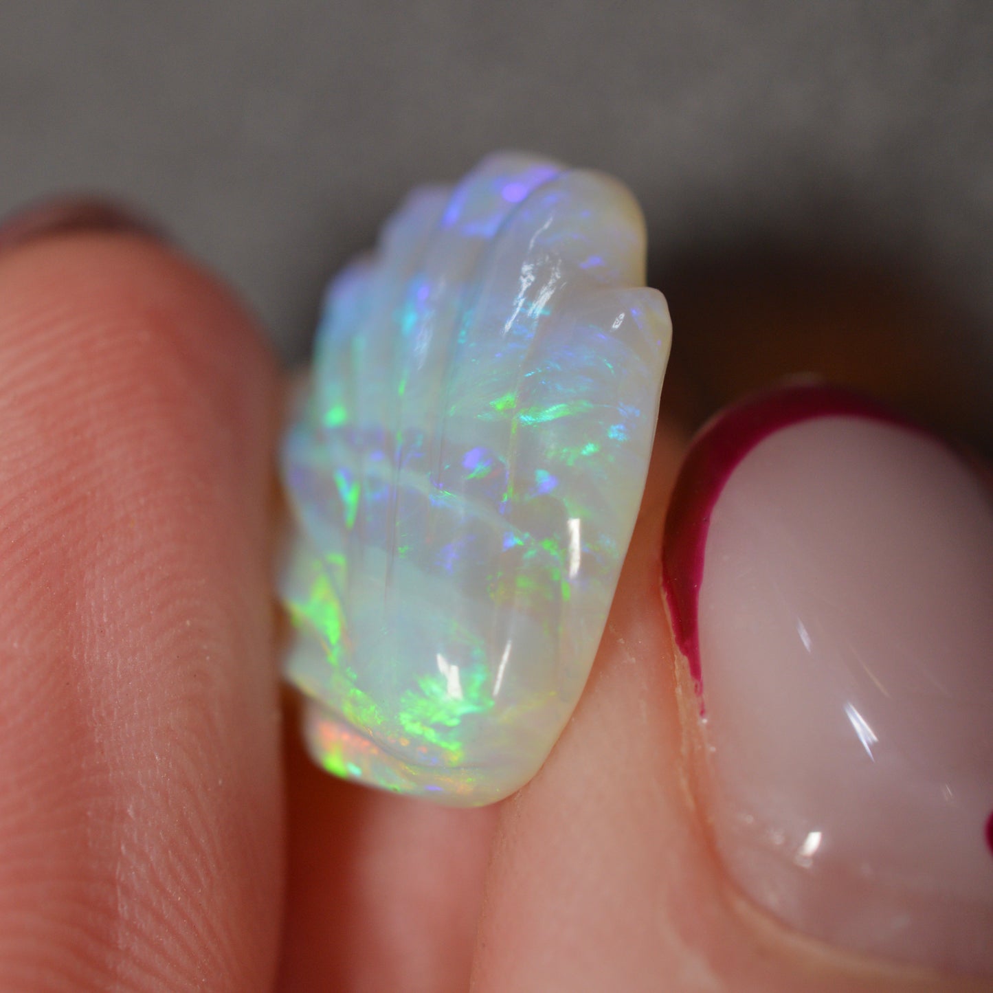 9.30ct Carved Opal Shell