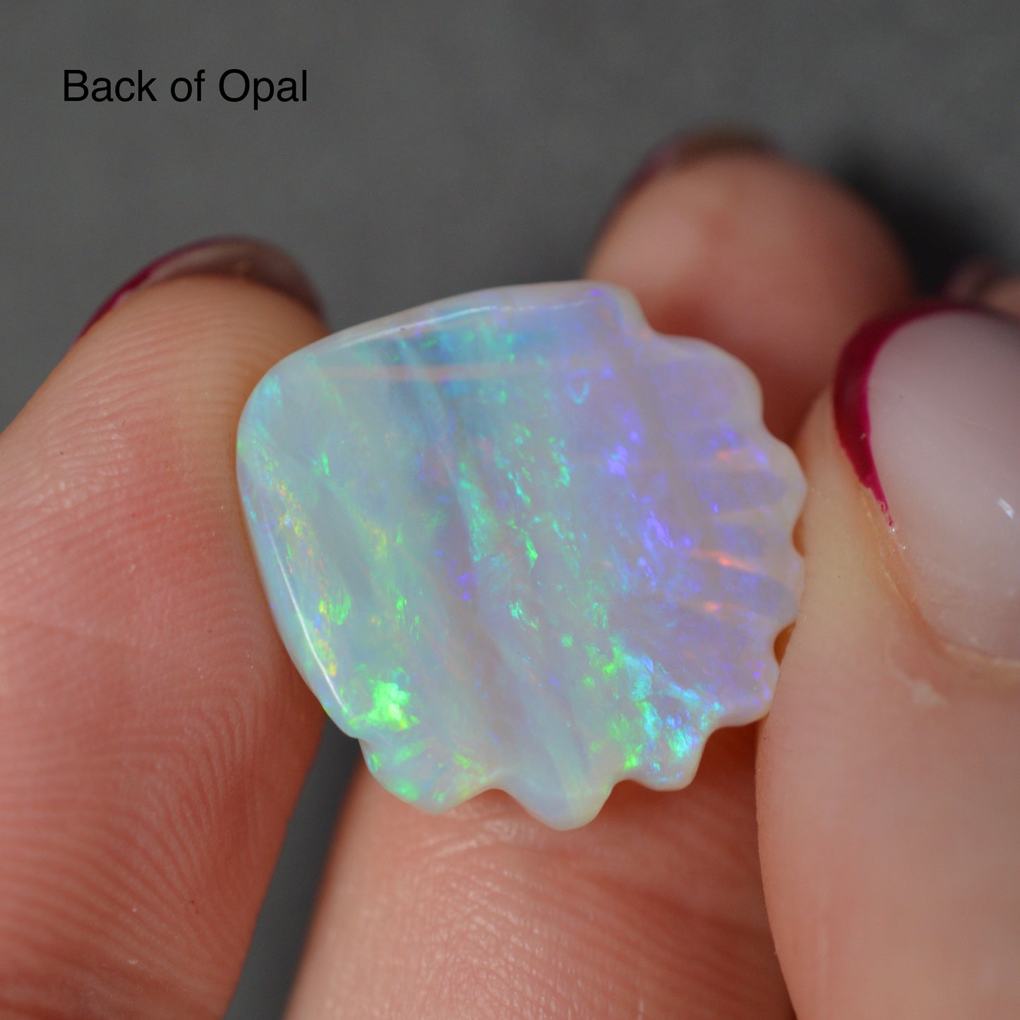 9.30ct Carved Opal Shell