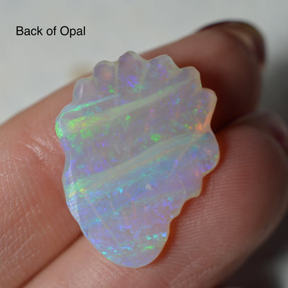 7.87ct Crystal opal Shell