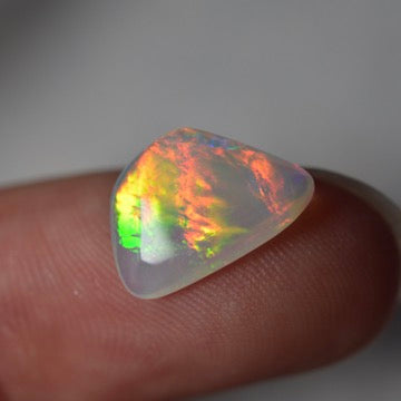 2ct Vivid Fire Fossilised Shell Skin