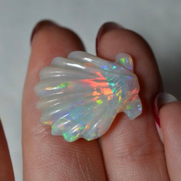 9.93ct Large Rainbow Shell Carving