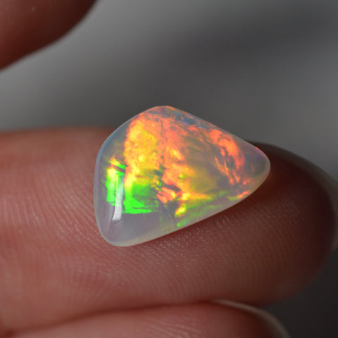 2ct Vivid Fire Fossilised Shell Skin