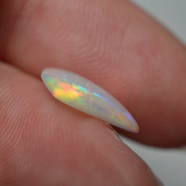 2ct Vivid Fire Fossilised Shell Skin