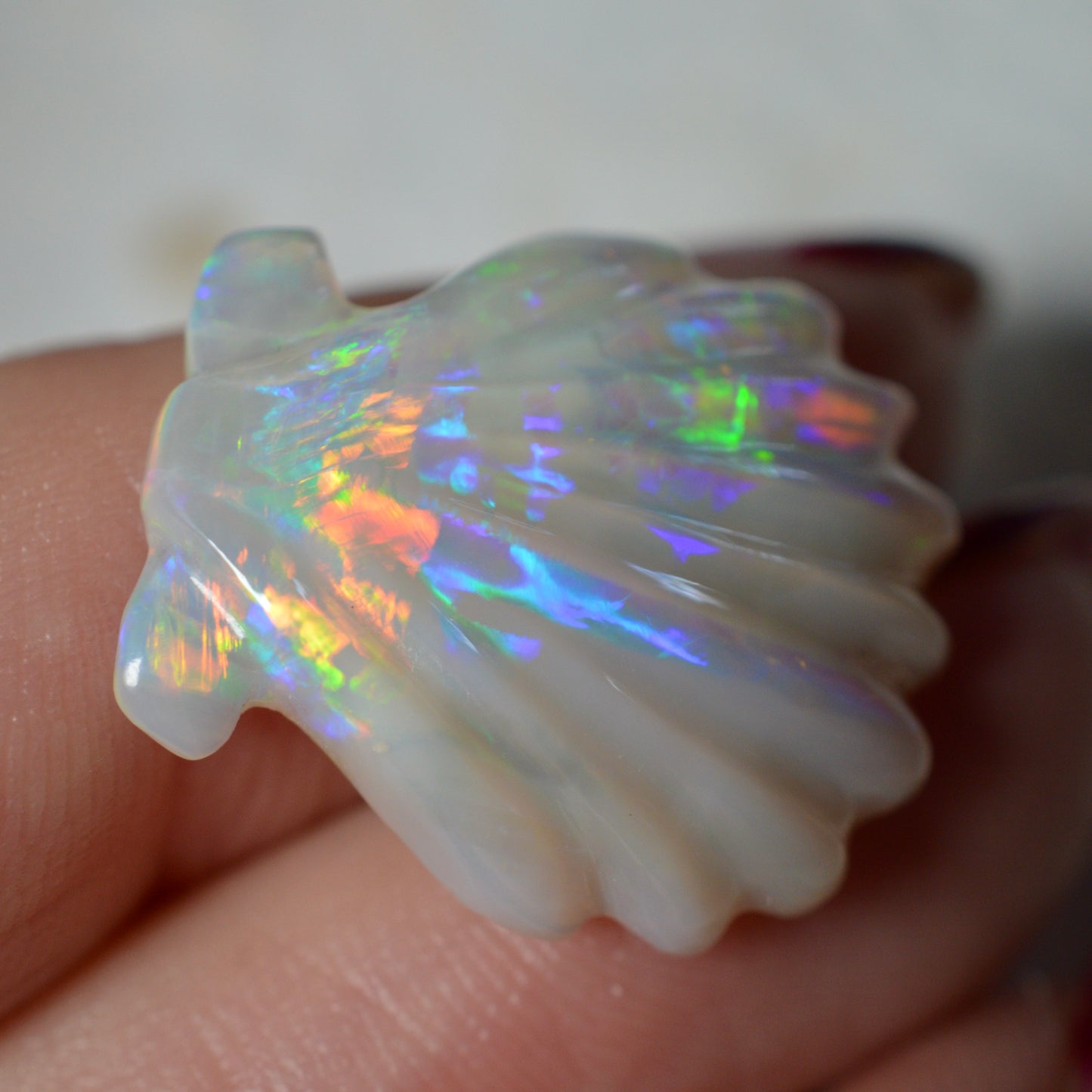 9.93ct Large Rainbow Shell Carving