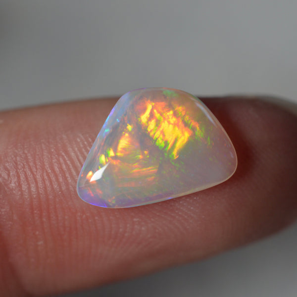 2ct Vivid Fire Fossilised Shell Skin