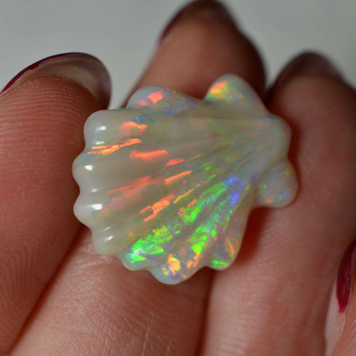 8.81ct Rainbow Carved Shell