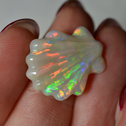 8.81ct Rainbow Carved Shell