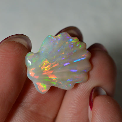 8.81ct Rainbow Carved Shell