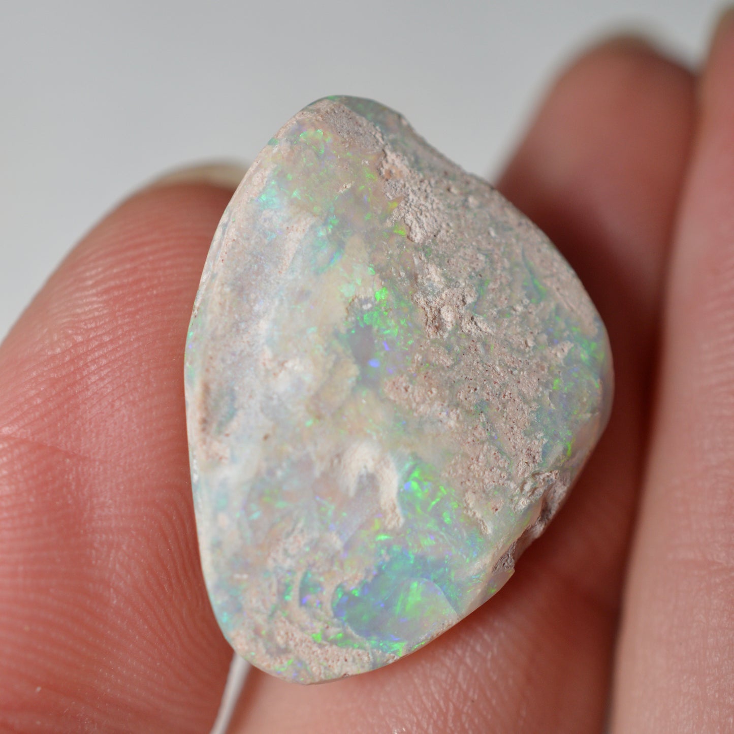 14.95ct Vivid Shell Speciem