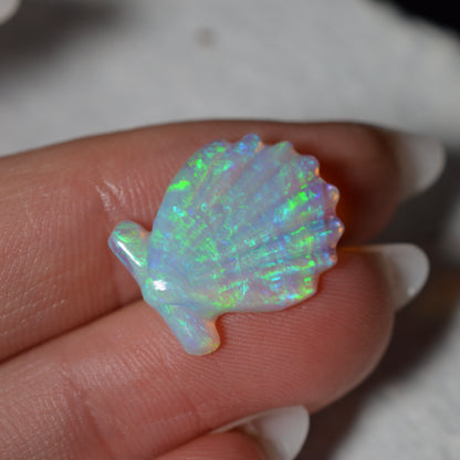 5.55ct Hand Carved Opal Shell
