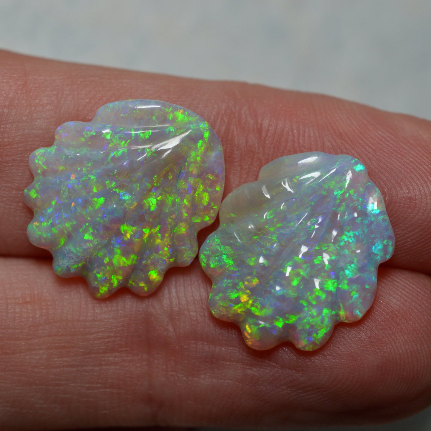 10.16ct Rare Matching Shell Carving