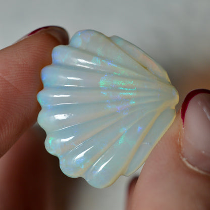 17.76ct Large Opal Shell Carving