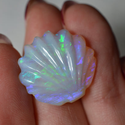11.21ct Hand Carved Opal Shell