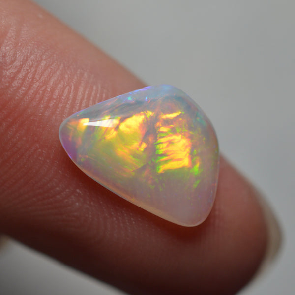 2ct Vivid Fire Fossilised Shell Skin
