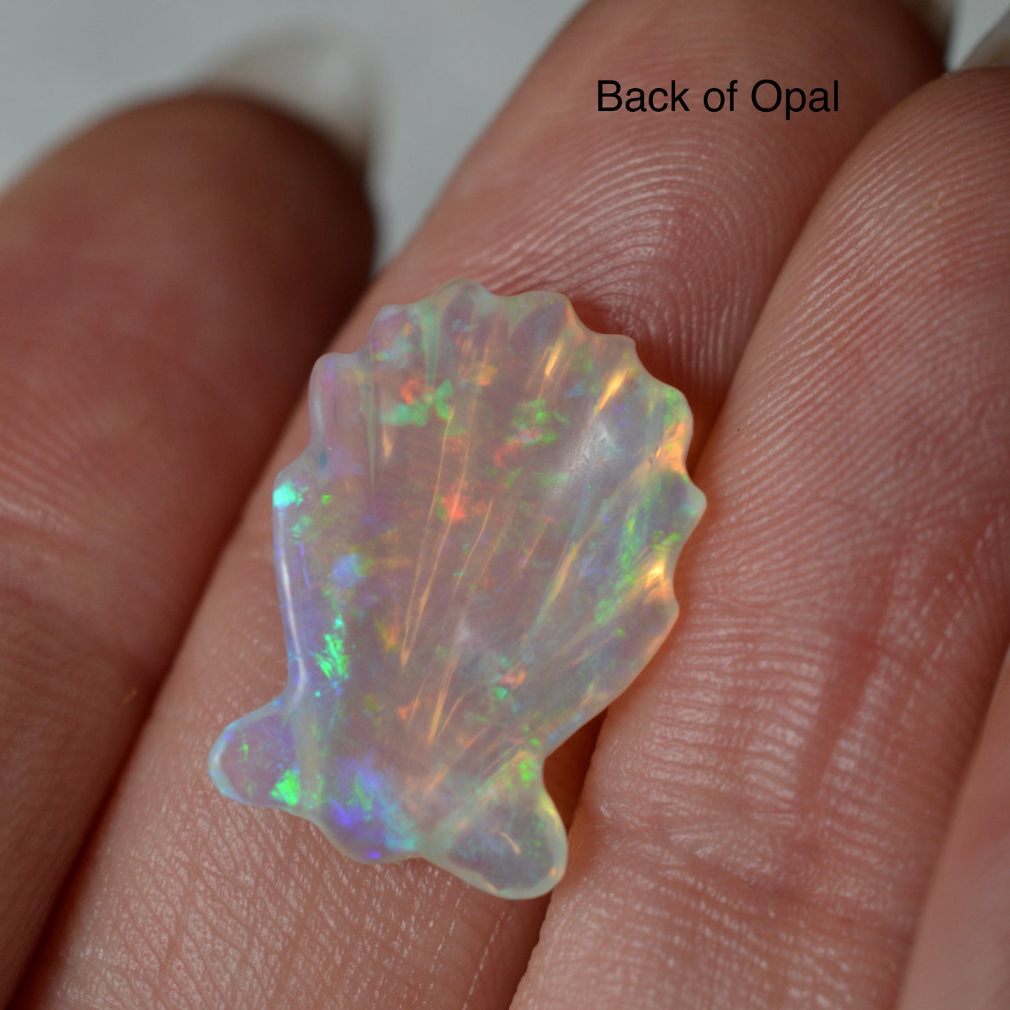 4.57ct Jelly Crystal Rainbow Shell Carving