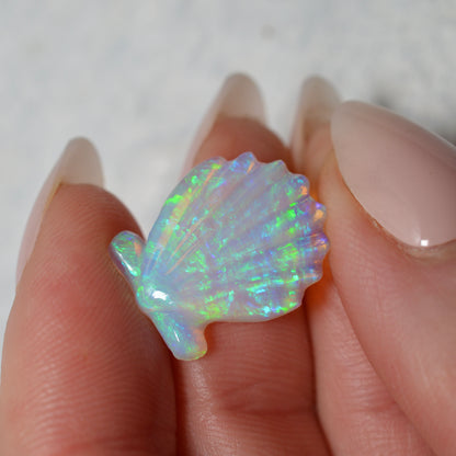 5.55ct Hand Carved Opal Shell