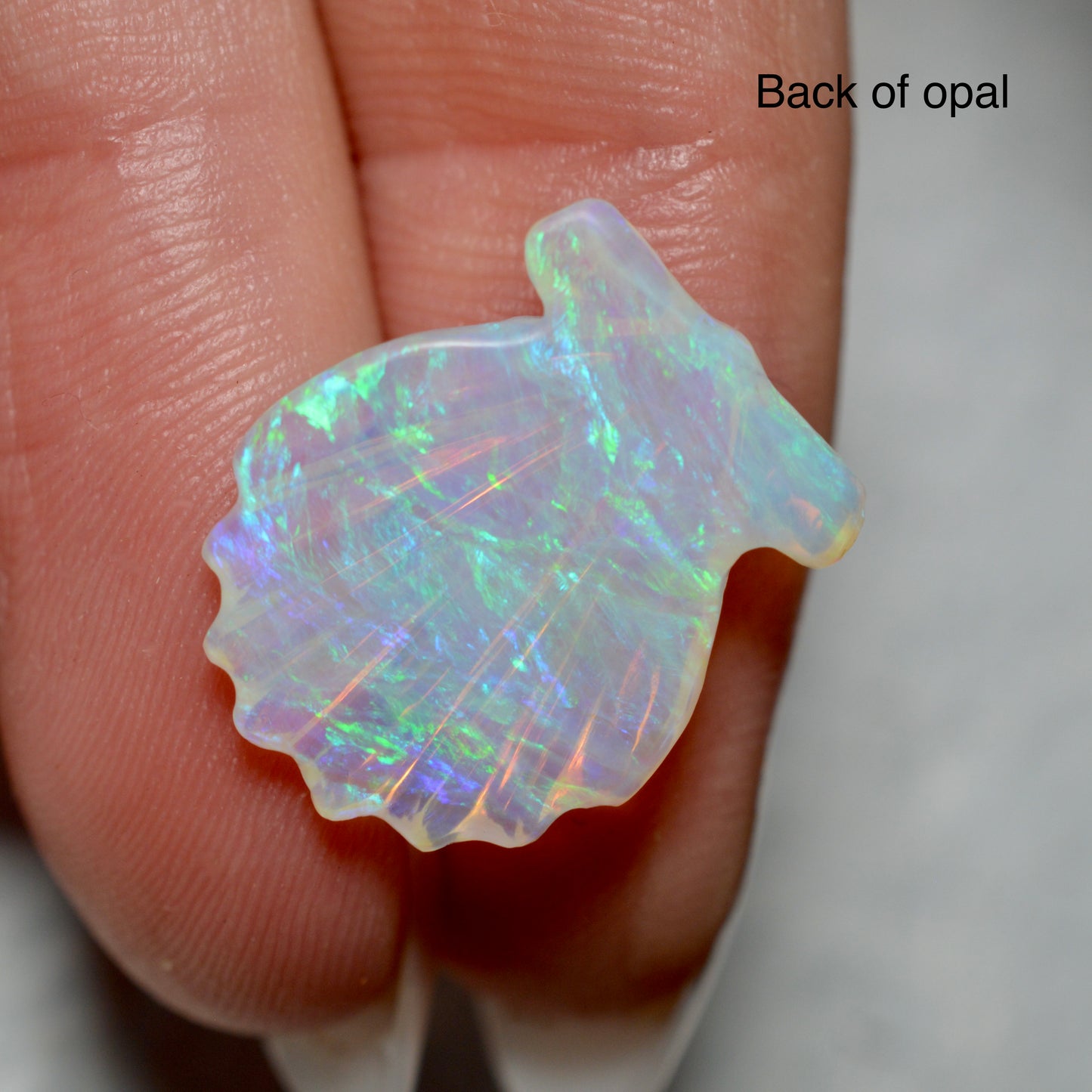5.55ct Hand Carved Opal Shell