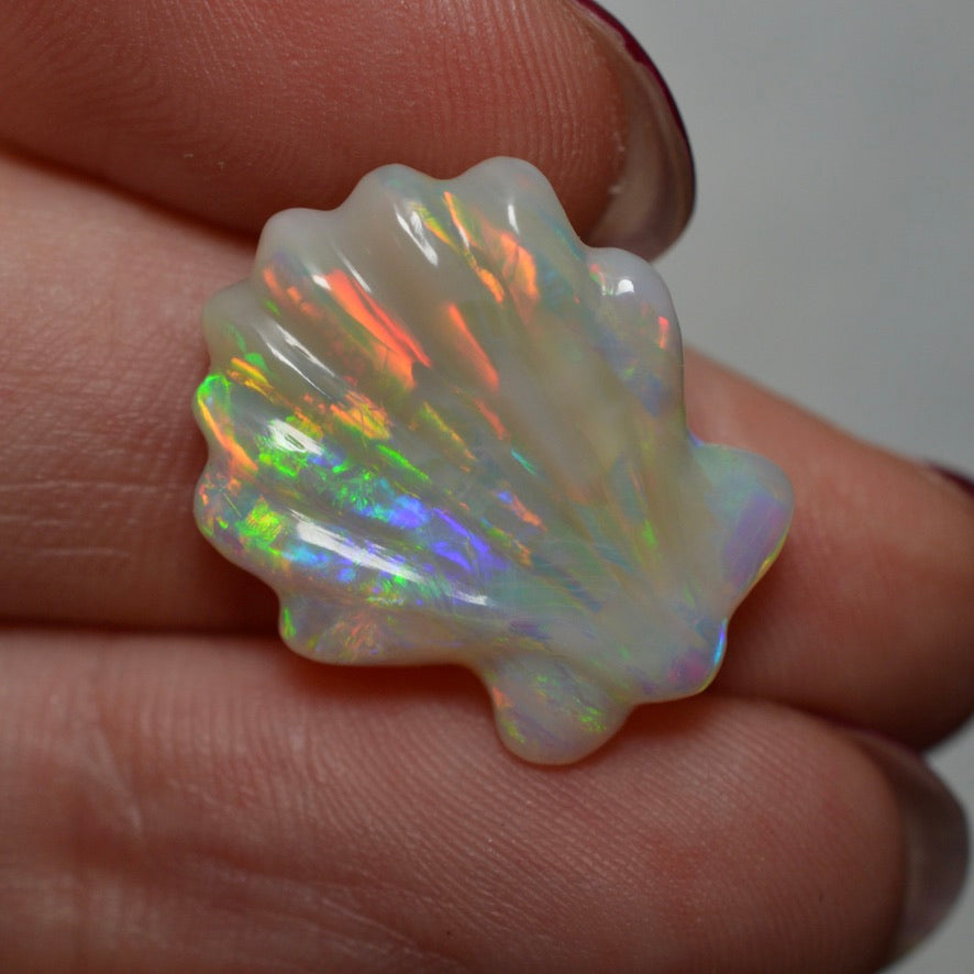 8.81ct Rainbow Carved Shell