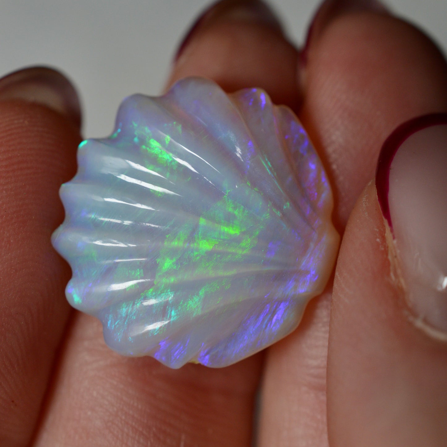 11.21ct Hand Carved Opal Shell