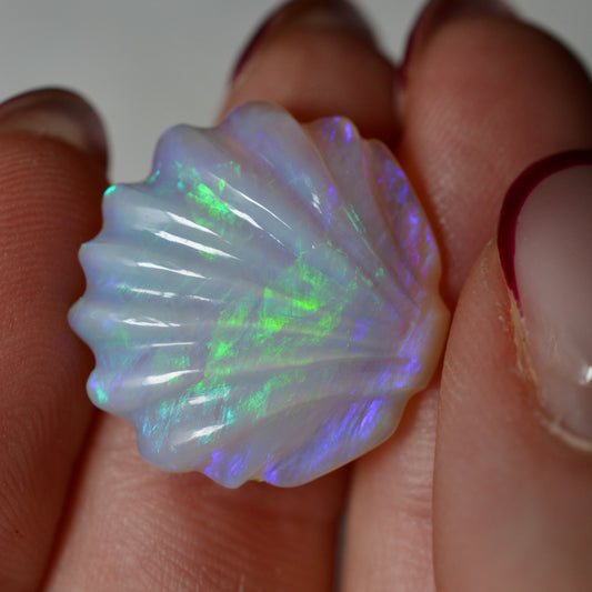 11.21ct Hand Carved Opal Shell