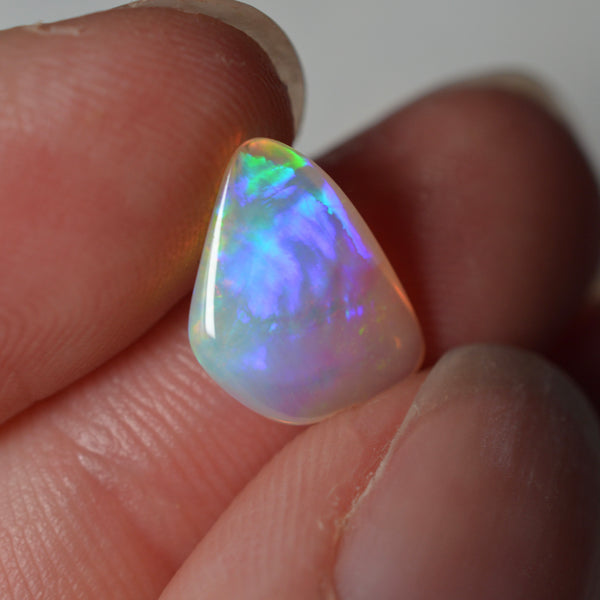2ct Vivid Fire Fossilised Shell Skin