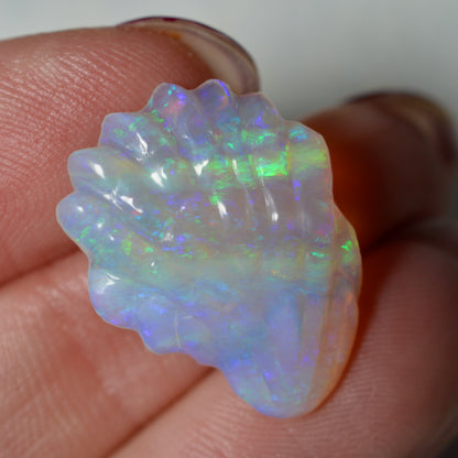 7.87ct Crystal opal Shell