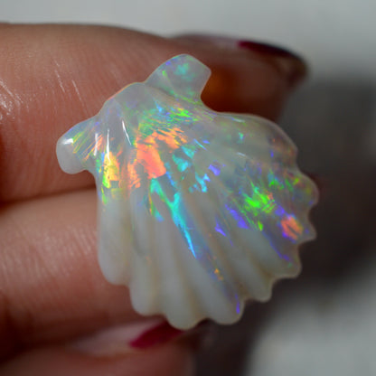 9.93ct Large Rainbow Shell Carving