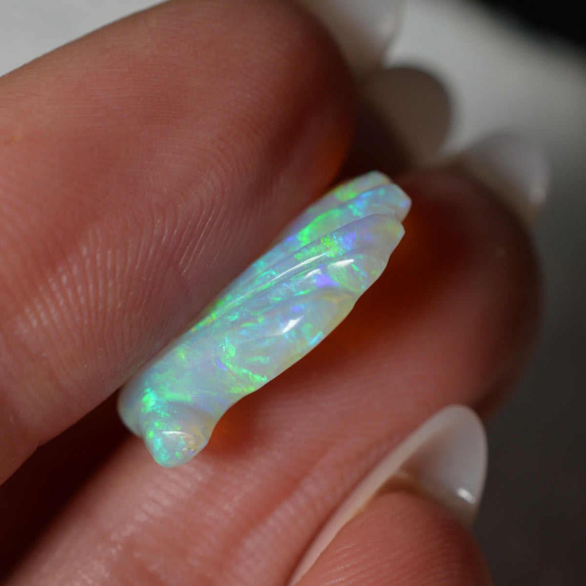 5.55ct Hand Carved Opal Shell