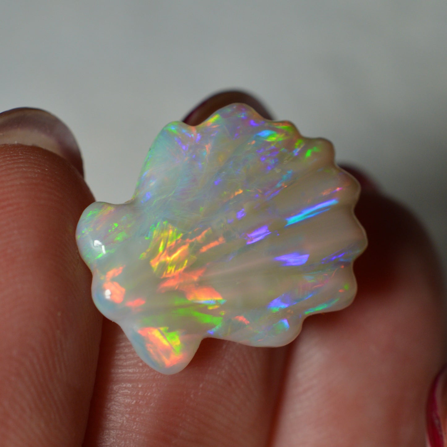 8.81ct Rainbow Carved Shell