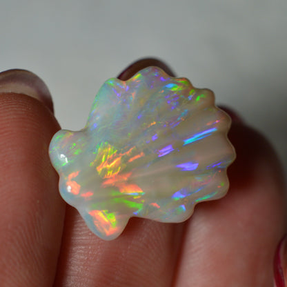 8.81ct Rainbow Carved Shell