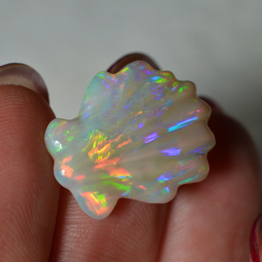 8.81ct Rainbow Carved Shell