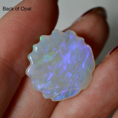 11.21ct Hand Carved Opal Shell