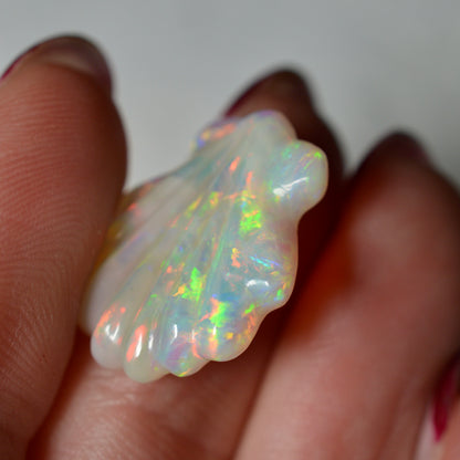 8.81ct Rainbow Carved Shell