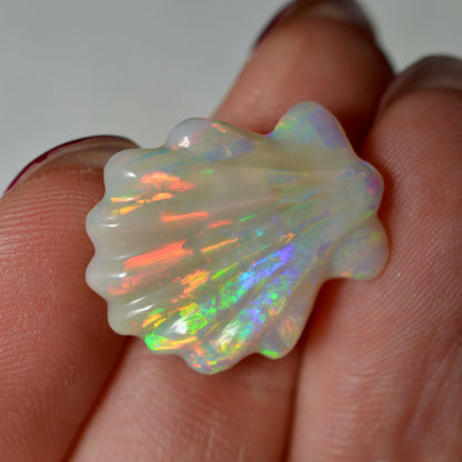 8.81ct Rainbow Carved Shell