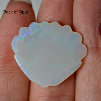 17.76ct Large Opal Shell Carving