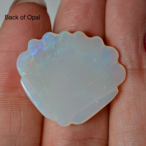 17.76ct Large Opal Shell Carving
