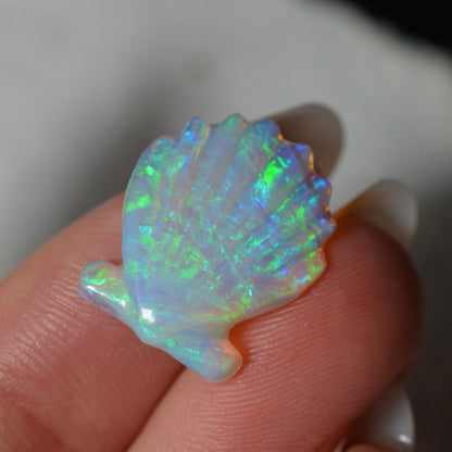 5.55ct Hand Carved Opal Shell