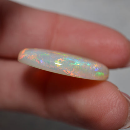 22.67ct Exception Opal Valley Gem