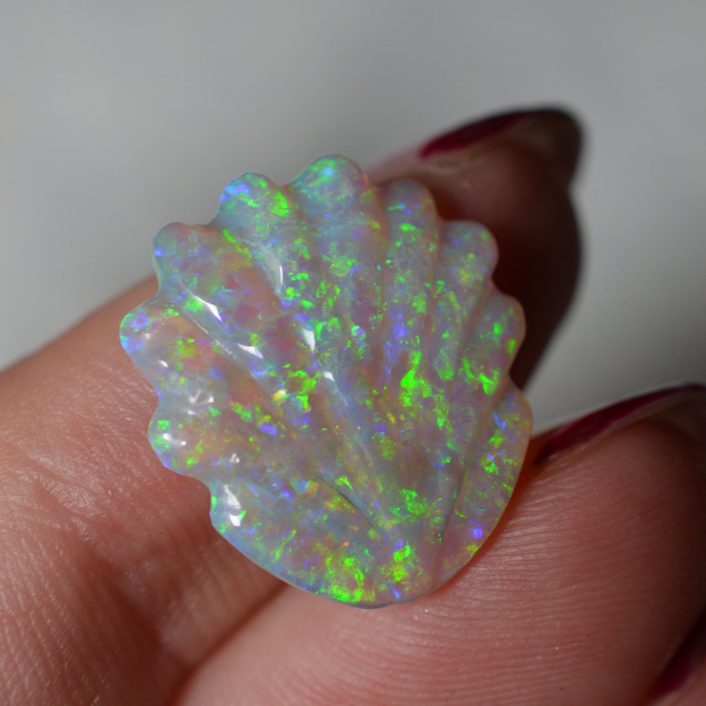 10.16ct Rare Matching Shell Carving