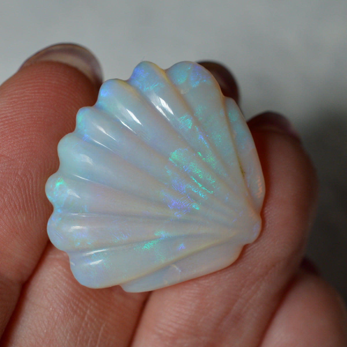 17.76ct Large Opal Shell Carving