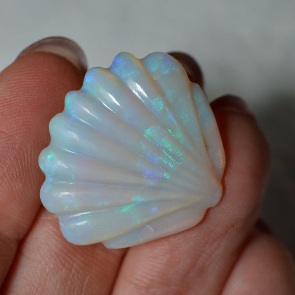 17.76ct Large Opal Shell Carving