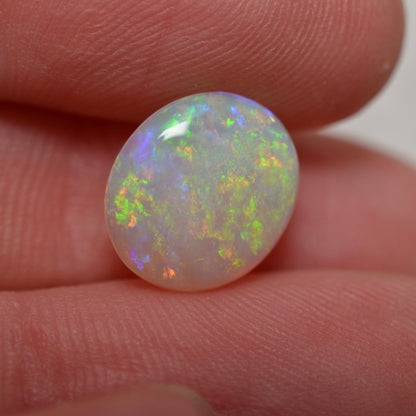 2.10 Vivid Oval